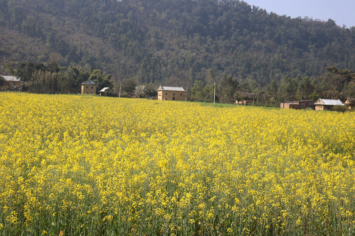 https://raracms.setopati.com/uploads/shares/2020/sujita/ghumphir anuvab dhunga/ghumphir anuvab (1).jpg